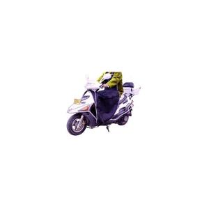 1789-avental-universal-para-scooters-brazoline-purpura-tu