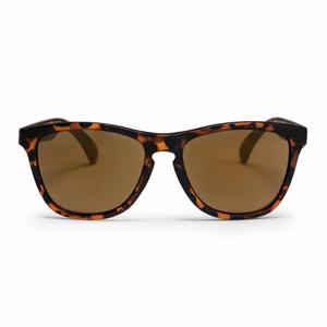 16131sd-oculos-de-sol-chpo-brand-bodhi-medium-large-tartaruga-castanho-castanho-tu
