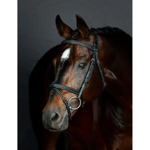 1025191001-brid-o-de-equitac-o-hanoveriano-acolchoado-collegiate-comfitec-opulux-fancy-stitch-preto