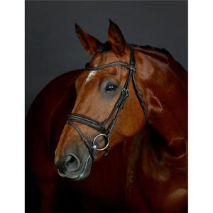 1025193005-brid-o-de-equitac-o-flash-hanoveriano-acolchoado-collegiate-comfitec-opulux-castanho-escuro