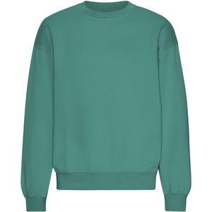cs1012-pinegreen-camisola-de-gola-redonda-de-tamanho-grande-colorful-standard-organic-pine-green-verde-pinho