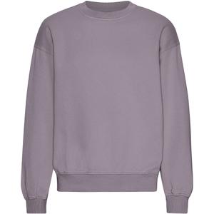 cs1012-purplehaze-camisola-de-gola-redonda-de-tamanho-grande-colorful-standard-organic-purple-haze-nevoa-purpura