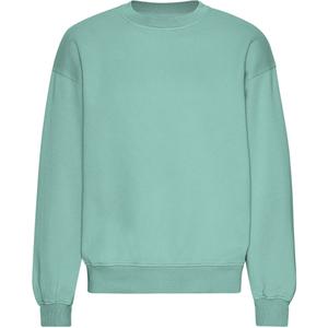 cs1012-seafoamgreen-camisola-de-malha-de-grandes-dimensoes-colorful-standard-organic-verde-marinho