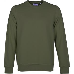 cs1005-seaweedgreen-sweatshirt-pescoco-redondo-colorful-standard-classic-organic-verde-alga-marinha