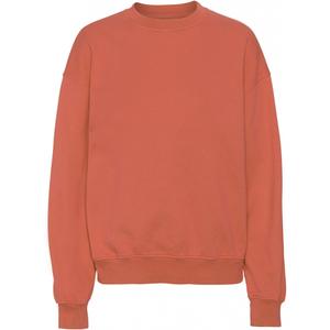 cs1012-darkamber-sweatshirt-pescoco-redondo-colorful-standard-organic-oversized-ambar-escuro