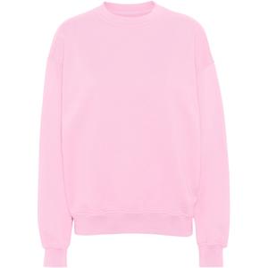 cs1012-flamingopink-sweatshirt-pescoco-redondo-colorful-standard-organic-oversized-flamingo-rosa