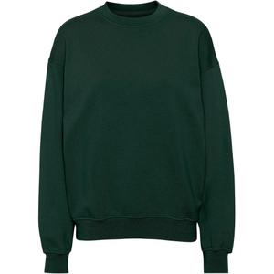 cs1012-huntergreen-sweatshirt-pescoco-redondo-colorful-standard-organic-oversized-verde-cacador