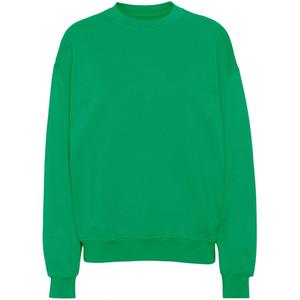 cs1012-kellygreen-sweatshirt-pescoco-redondo-colorful-standard-organic-oversized-verde-gelatina