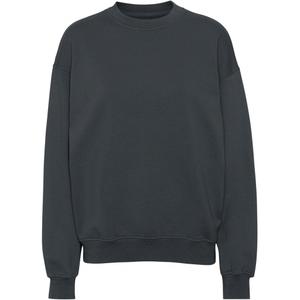 cs1012-lavagrey-sweatshirt-pescoco-redondo-colorful-standard-organic-oversized-cinza-de-lava
