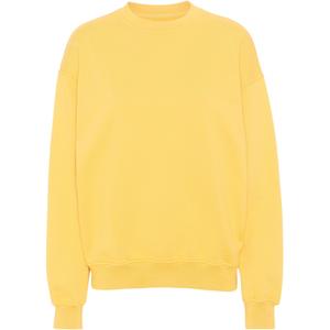 cs1012-lemonyellow-sweatshirt-pescoco-redondo-colorful-standard-organic-oversized-amarelo-lim-o