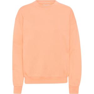 cs1012-paradisepeach-sweatshirt-pescoco-redondo-colorful-standard-organic-oversized-pessego-paradisiaco