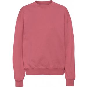 cs1012-raspberrypink-sweatshirt-pescoco-redondo-colorful-standard-organic-oversized-framboesa-rosa