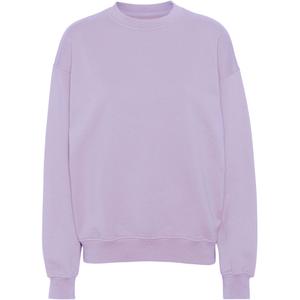 cs1012-softlavender-sweatshirt-pescoco-redondo-colorful-standard-organic-oversized-lavanda-macia