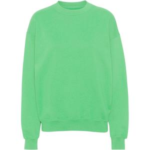 cs1012-springgreen-sweatshirt-pescoco-redondo-colorful-standard-organic-oversized-verde-primavera