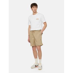 dk0a4xb2ds01-calcoes-das-bermudas-dickies-pelican-rapids-areia-do-deserto