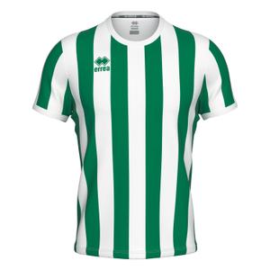 gm1b0c00900-camisola-errea-strip-verde-branco