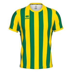 gm1b0c00920-camisola-errea-strip-verde-amarelo