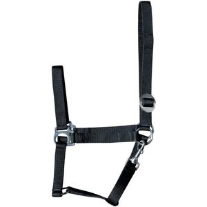 31000925-zwart-cabresto-para-cavalos-harry-s-horse-economy-zwart