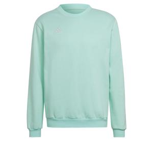 hc5047-sweatshirt-adidas-entrada-22-verde-turquesa