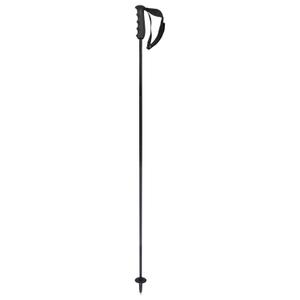 381784-bastoes-de-esqui-head-porsche-carbono-preto-branco