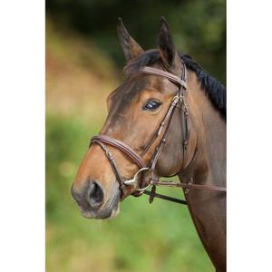 hfi1159br-cabecotes-de-cavalo-hfi-comfort-marrom