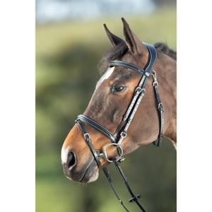 hfi003bk-cabecotes-de-cavalo-hfi-functional-preto
