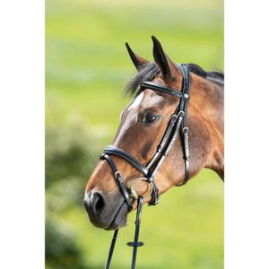 hfi013bk-cabecotes-de-cavalo-hfi-technical-preto