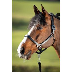 hfi1631bkco-cabresto-de-couro-para-cavalos-hfi-two-tone-preto-cognac
