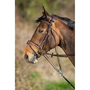sam323br-gogue-para-cavalos-hfi-marrom