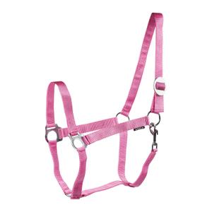180185-23-cabrestantes-de-cavalos-horka-drew-roze