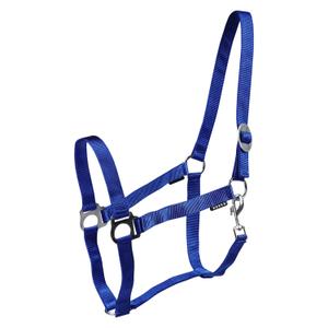 180185-55-cabrestantes-de-cavalos-horka-drew-azul-real