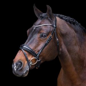 ho40323005-9584-cabecadas-de-equitac-o-imperial-riding-olympia-ouro-preto-rosa