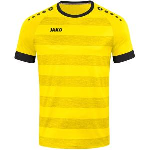 product/j/a/jako_4214_300.jpg