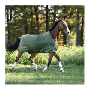 0467121252800-manta-para-cavalos-ao-ar-livre-kavalkade-montreal-100g-geen