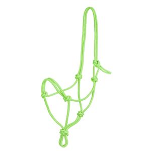 ca00129-lime-cavalo-de-corda-com-no-pool-s-arquivo-tu