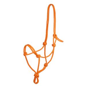 ca00129-orange-cavalo-de-corda-com-no-pool-s-laranja-tu