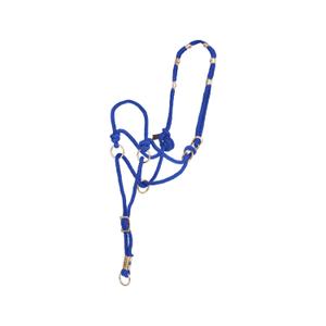 ca00150-turquoise-cabresto-para-cavalos-pool-s-direction-2020-turquesa-tu