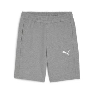 658608-33-curta-puma-teamgoal-cinza