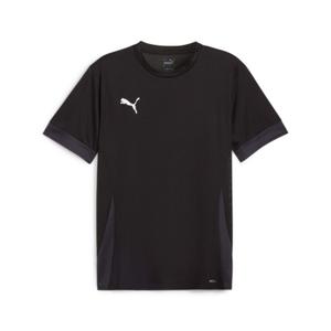 705747-03-camisola-puma-teamgoal-matchday-preto