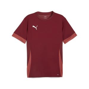 705747-09-camisola-puma-teamgoal-vermelho
