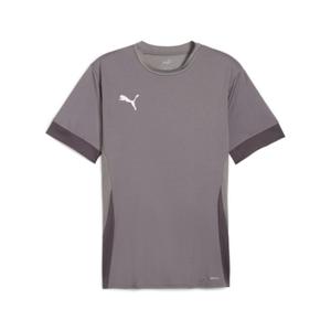 705747-13-camisola-puma-teamgoal-matchday-cinza