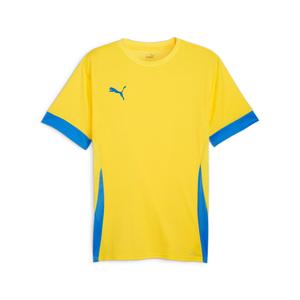 705747-17-camisola-puma-teamgoal-amarelo