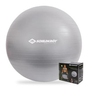 960155-bola-de-ginastica-schildkrot-prata