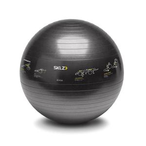 product/s/k/sklz_509_1.jpg