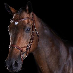 816079-818444-cabecadas-de-treino-para-cavalos-weatherbeeta-collegiate-comfitec-marrom